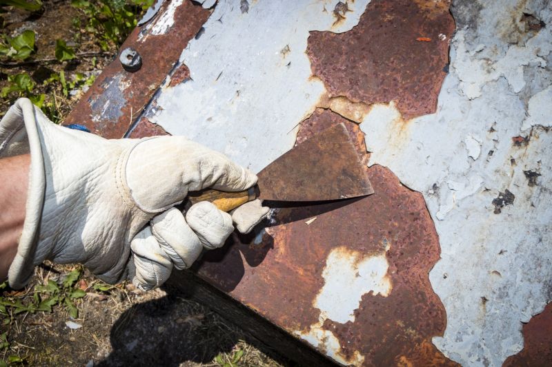 Lead Paint Removal